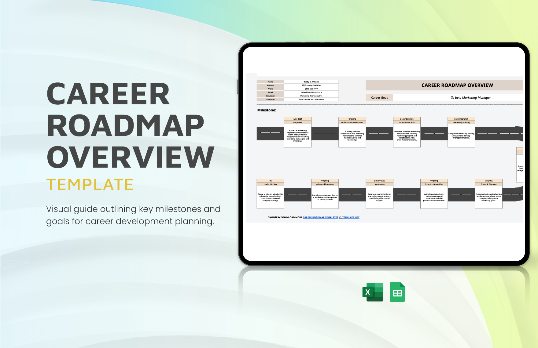 Career Roadmap Overview Template in Excel, Google Sheets - Download | Template.net