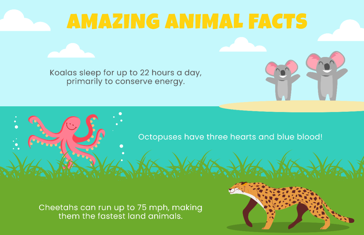 Custom Factoid Sheet Template - Edit Online & Download