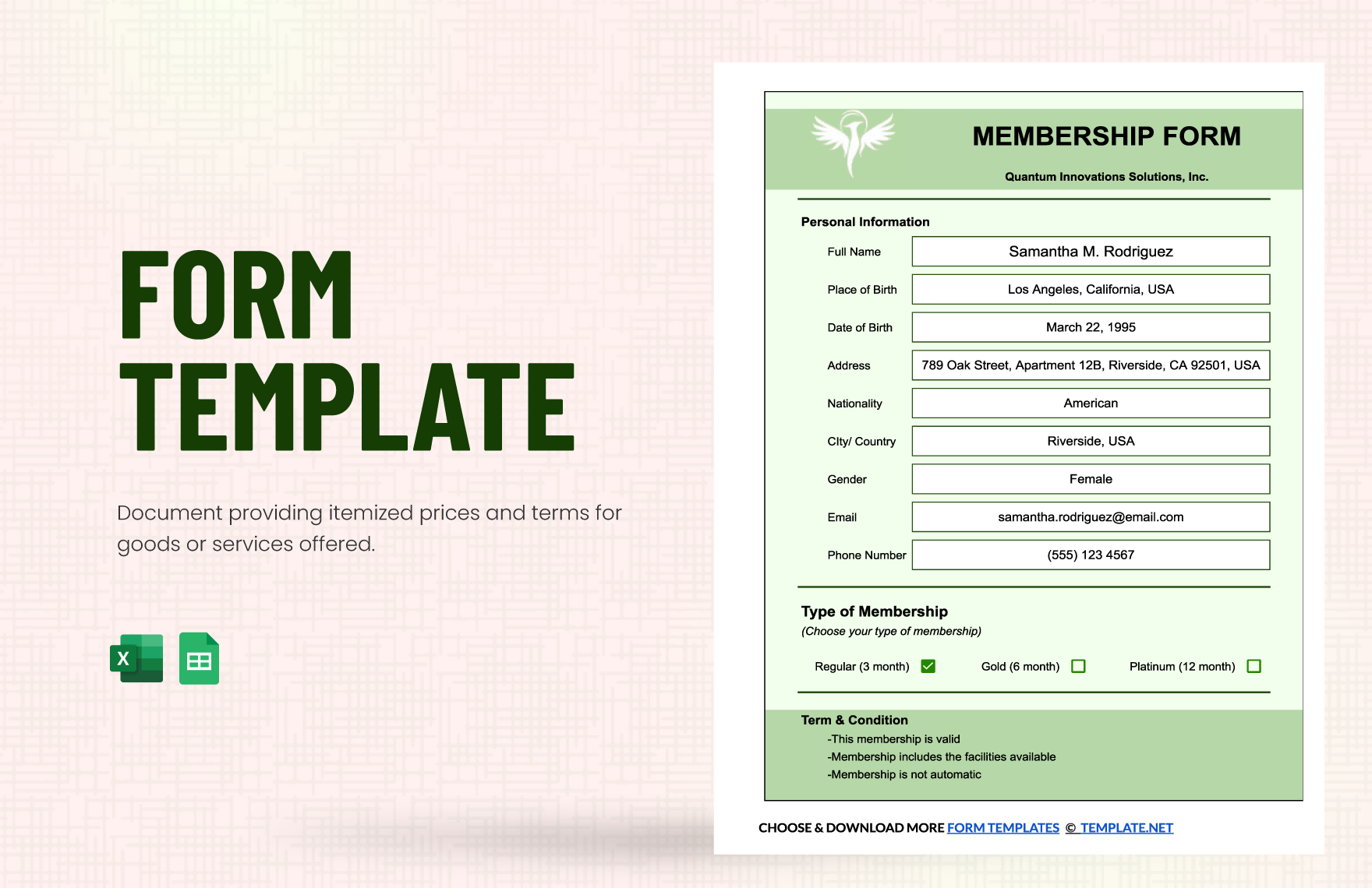 Form Template in Excel, Google Sheets - Download | Template.net