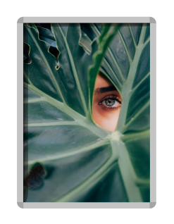 Ai Image generator