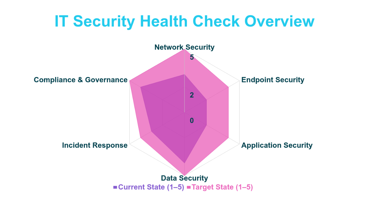 IT Security Risk Assessment Radar Chart Template - Edit Online & Download